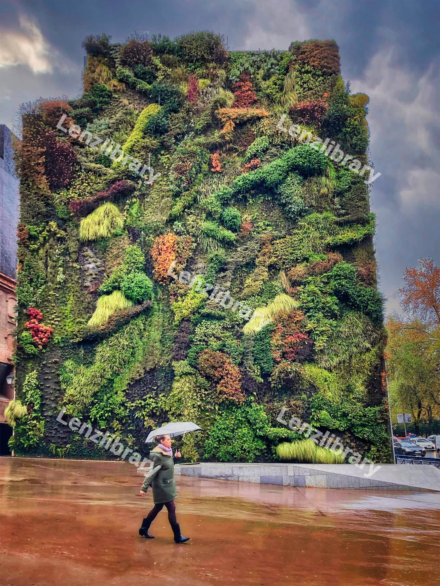 Garden wall